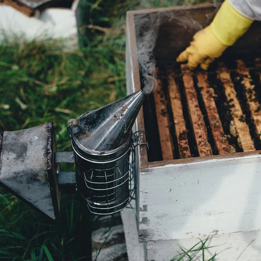 Beekeeping Tools and Equipment: A Comprehensive Guide for New Beekeepers