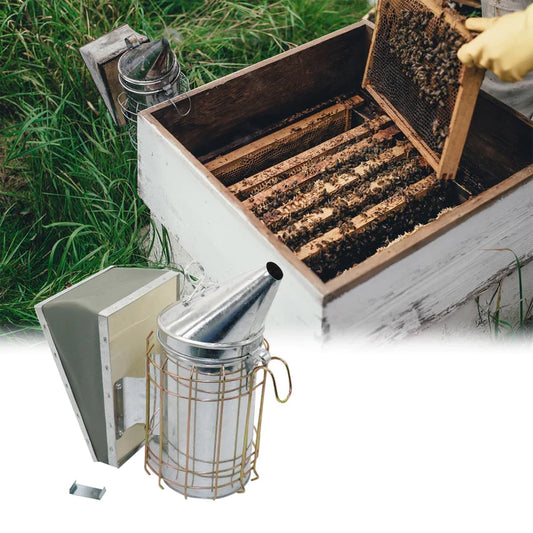 Seasonal Beekeeping Tips: Preparing Your Hive for Spring with the Essentials