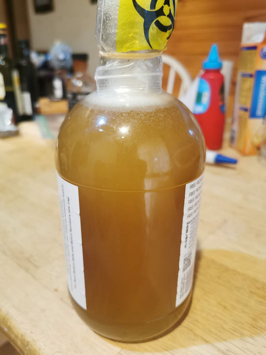 Whey-ing in the Benefits: Making a Lactomel Mead with Whey Leftover from Yoghurt