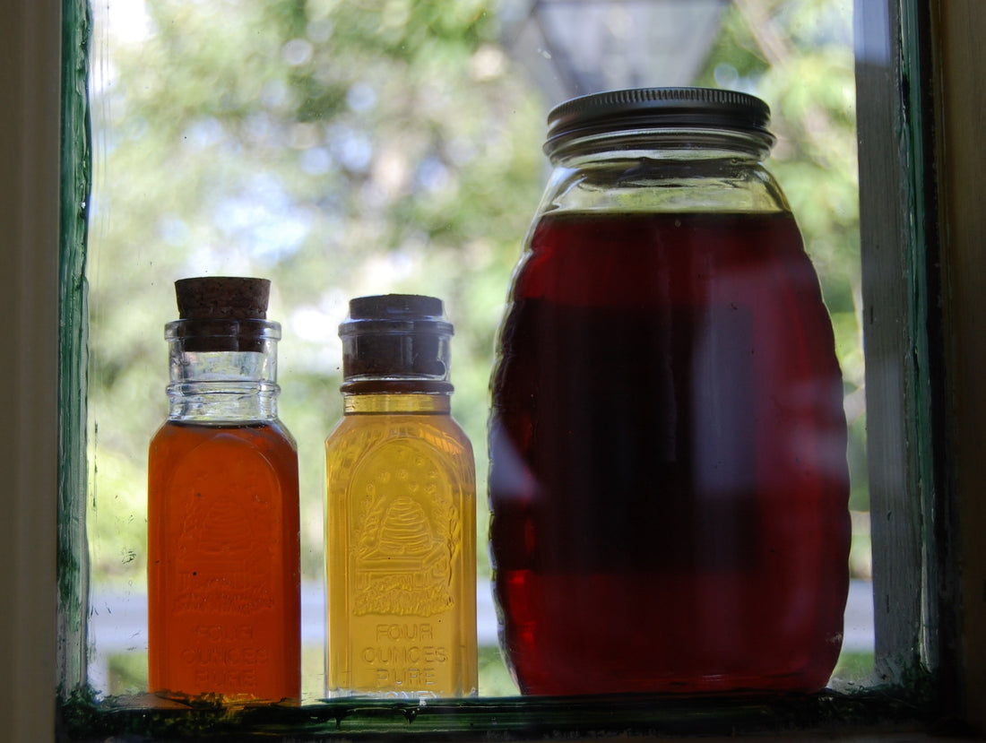 Classifying Honey Flavours: A Guide for Small-Time Beekeepers